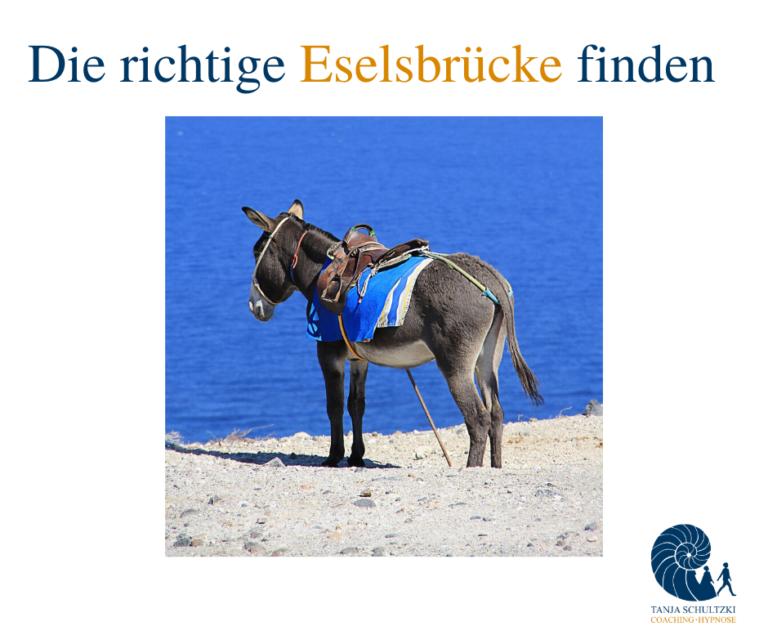 Warum sagt man Eselsbrücke? + 7 Tipps für gute Eselsbrücken