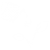 Coaching Symbol Coaching Symbol